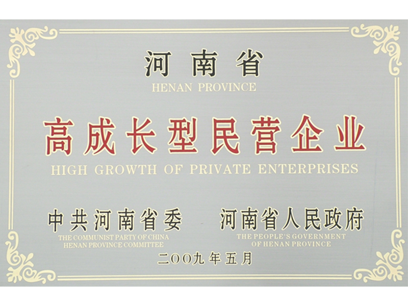 高成長(zhǎng)型民營(yíng)企業(yè)